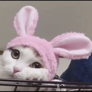 Meet your Posher, Katelyn